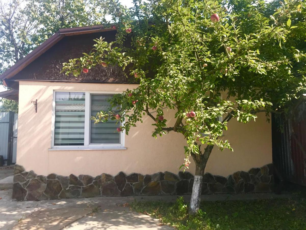 Apartments With Kitchen And Garden Kiev Exteriör bild